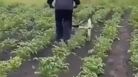 Farm skills :D