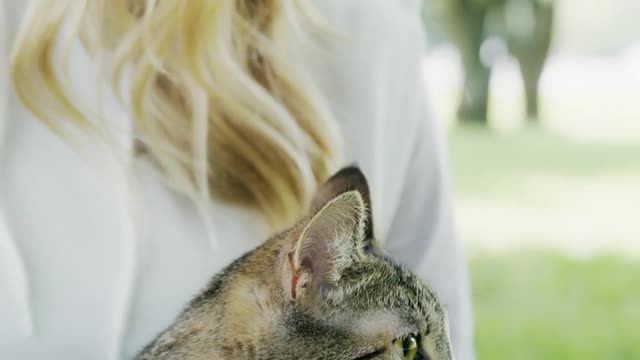 Cute can't video