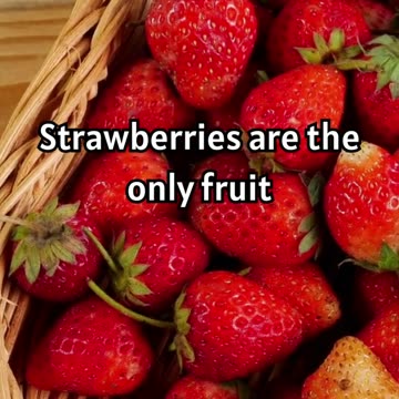 Why Are Strawberry Seeds are Outside.