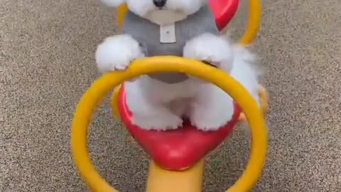 Funniest Animals 2023 😄 Best Cats and Dogs Videos 😹🐶 Part 8