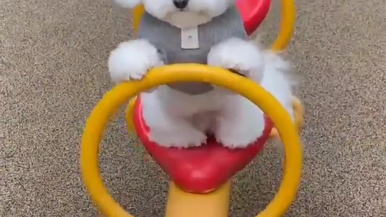 Funniest Animals 2023 😄 Best Cats and Dogs Videos 😹🐶 Part 8