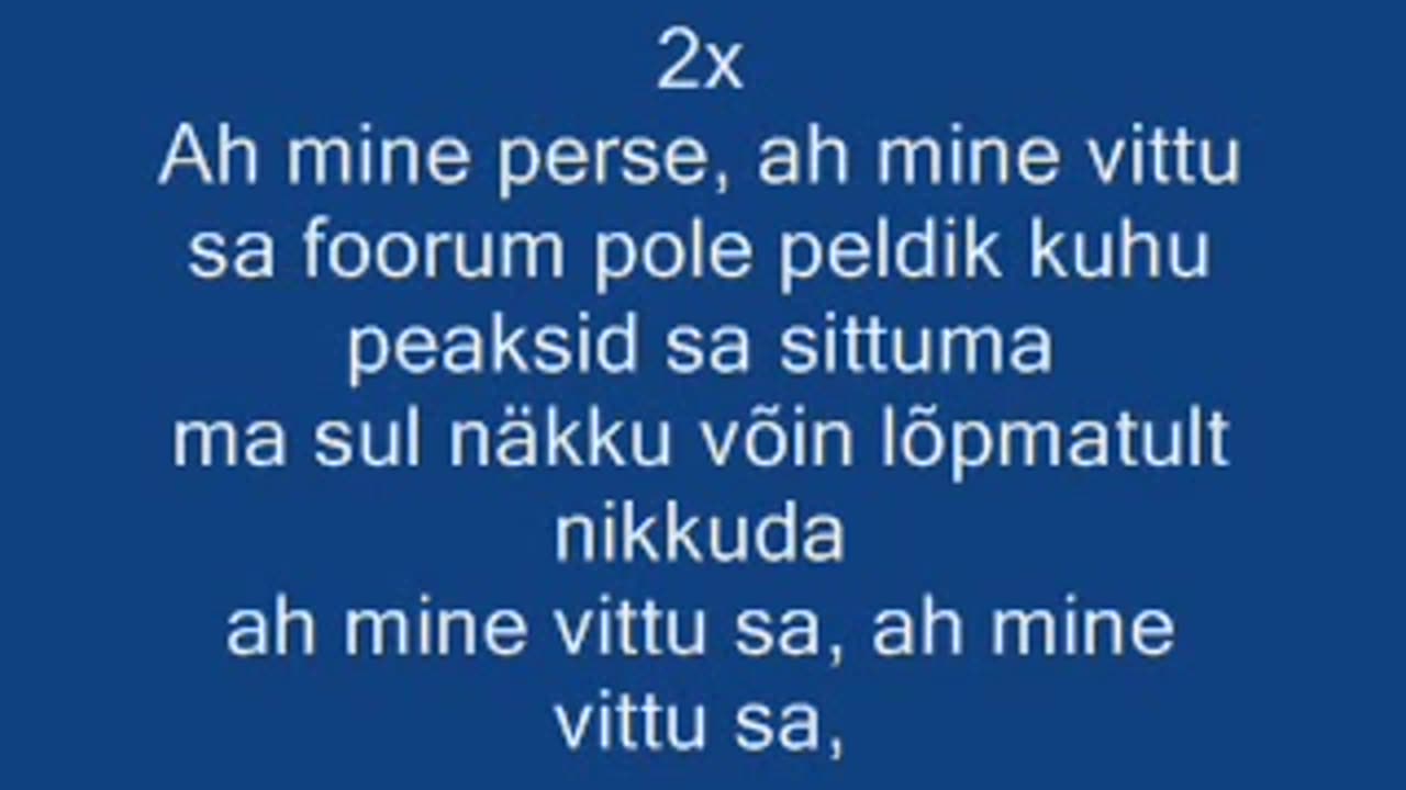 Erki Nytt - mine vittu