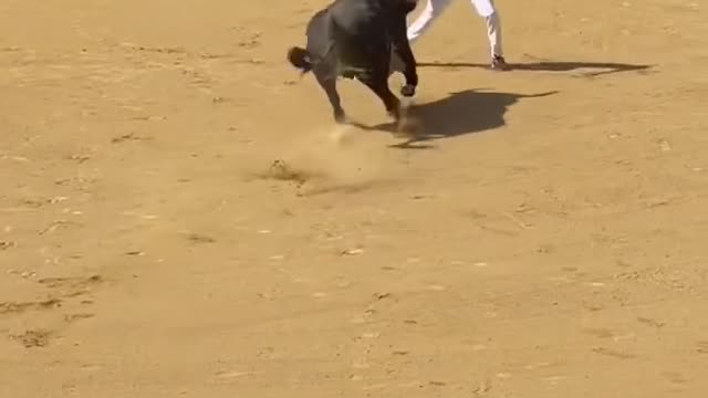 Concurso de Recortes Fallas 2022 valencia