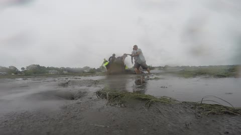 People Try To Help Beached Manatee - GoPro Angle