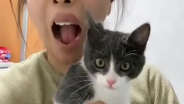 Scared 😨 funny pets