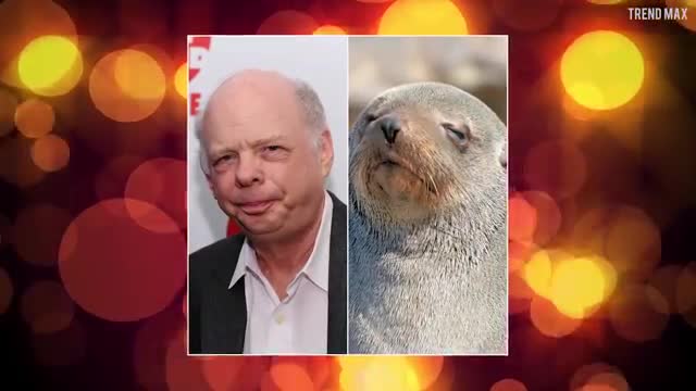 15 ANIMALS That Exactly Look Like CELEBRITIES And Famous People