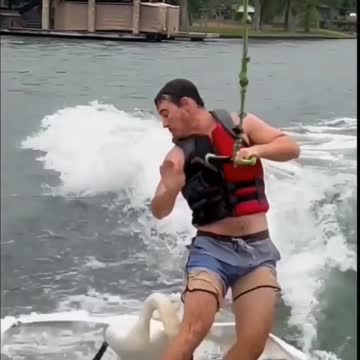 this goose could only have been sent by the devil