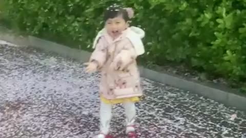 cherry blossoms shower