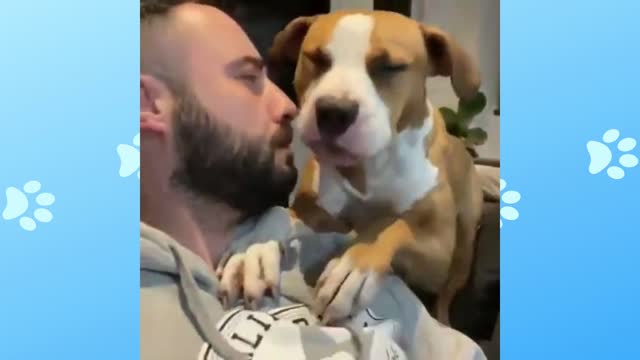 Who's barking?