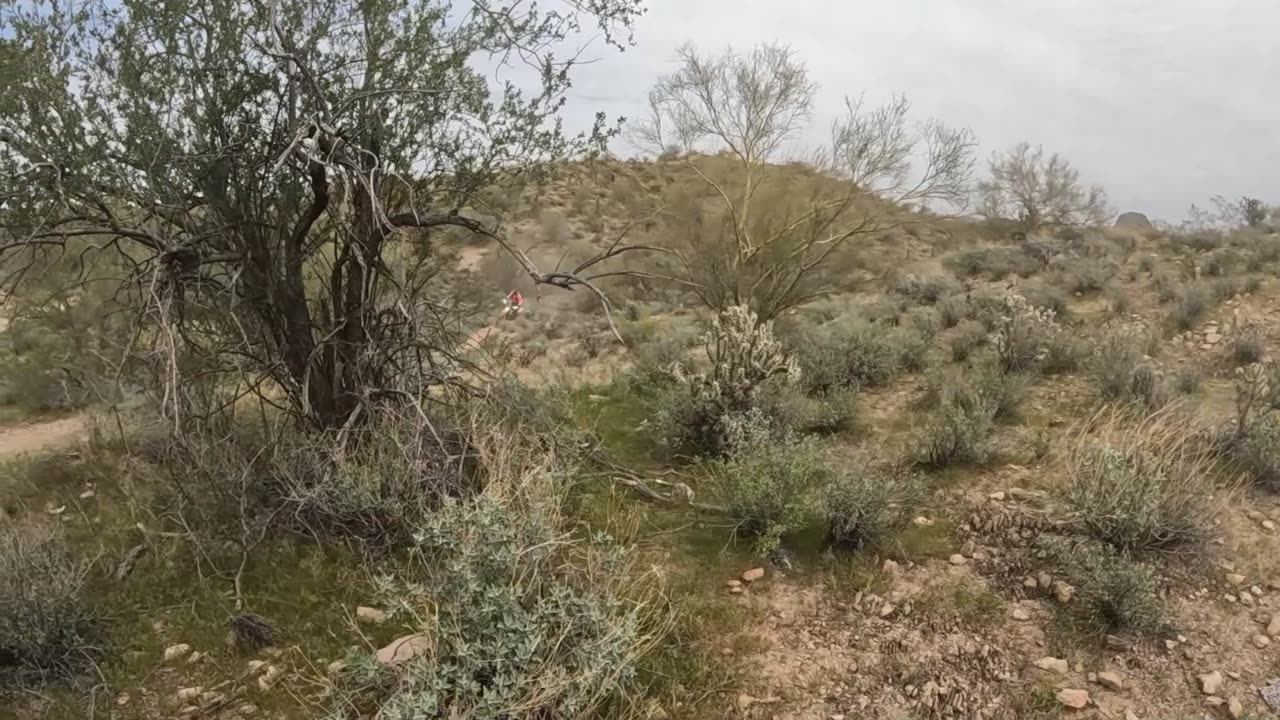 Random single track motorcycle ride goodness. Kawasaki KLX riding out with KTM's.