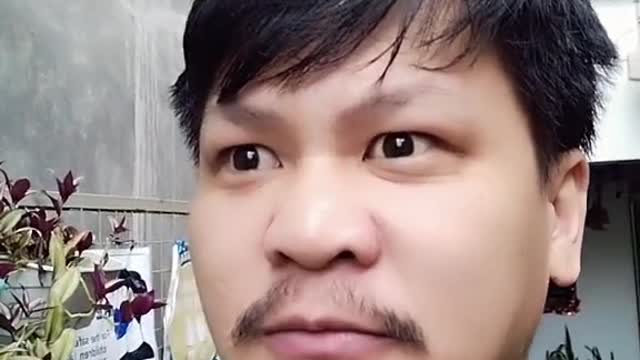 POV: WHO TELLED YOU?