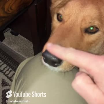 Booping has gone too far