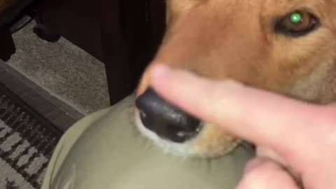 Booping has gone too far