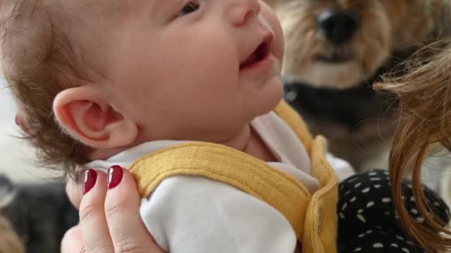 Baby has the sweetest reaction to Dog and mommy