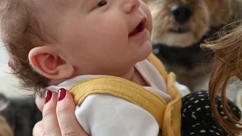 Baby has the sweetest reaction to Dog and mommy