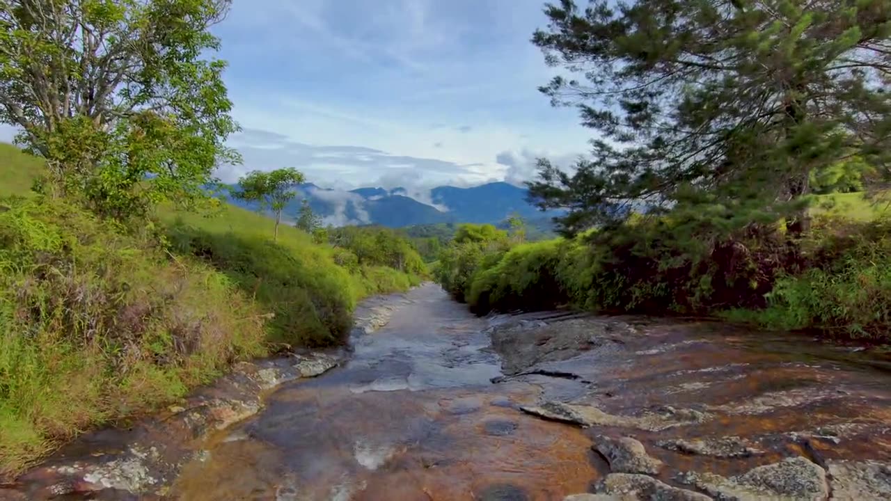 Drone Video of a Stream in a Mountain Landscape
