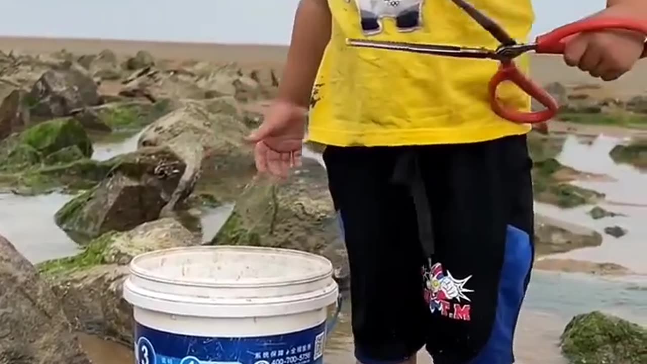 Children animal wait for End 🔥