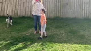 Adorable pup plays with bubbles for the first time