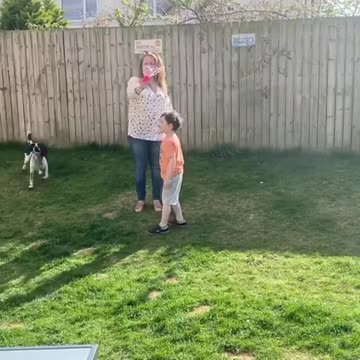 Adorable pup plays with bubbles for the first time