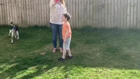 Adorable pup plays with bubbles for the first time