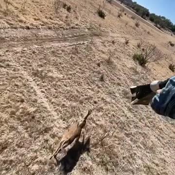 funny|prank|jokes|funny jokes|dad jokes|funny memes|funny video|fun|laughing|funny animal|knock