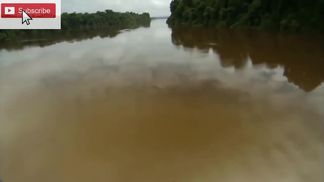 L'Anaconda Géant d'Amérique du Sud
