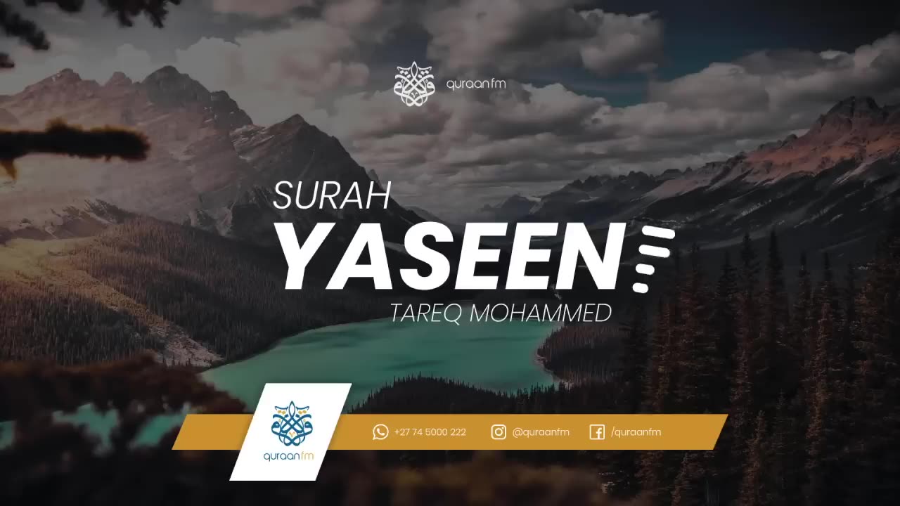 Surah yaseen |Qari Tareq Mohammed|