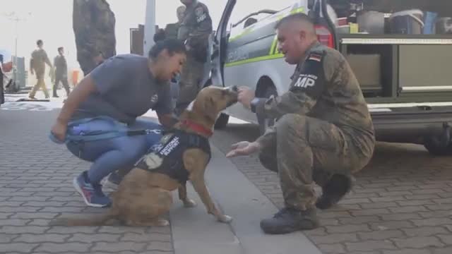 Emotional support dog