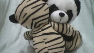 All you need is a hug, stuffed panda hugs the tiger with love [Nature & Animals]