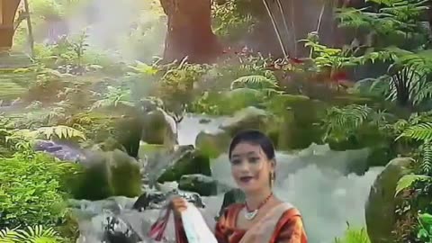 My journey