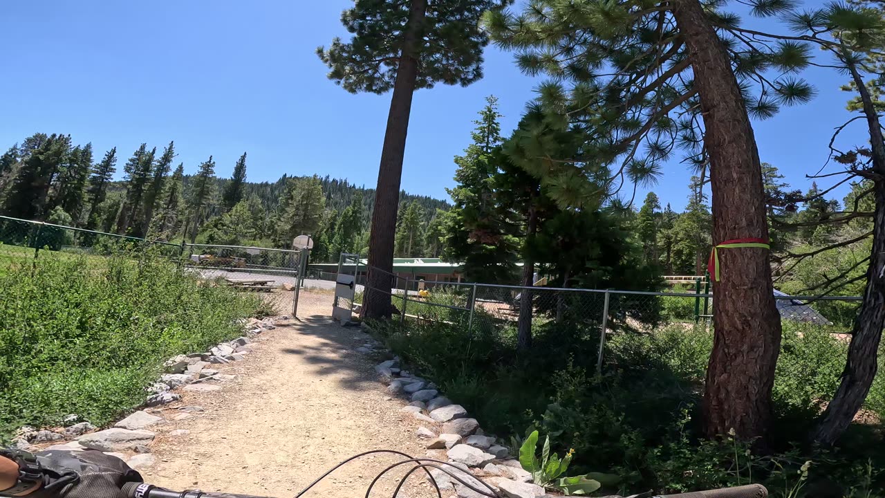 Ward Creek Park, part 2 (Timberland, CA)