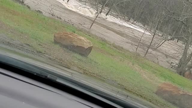 Floods