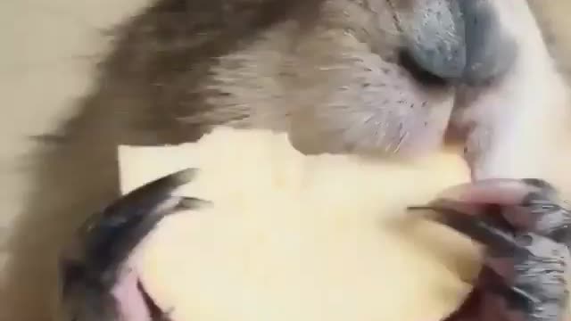 How funny is that๐๐
