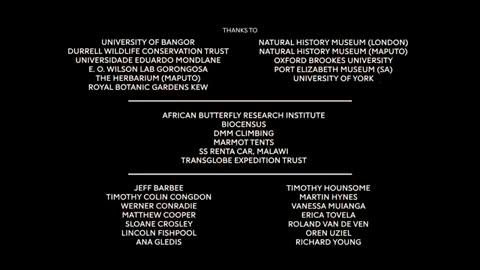 The Lost Forest Noble Peace Prize Shorts