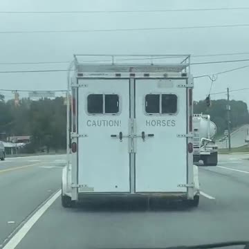 Caution Horses