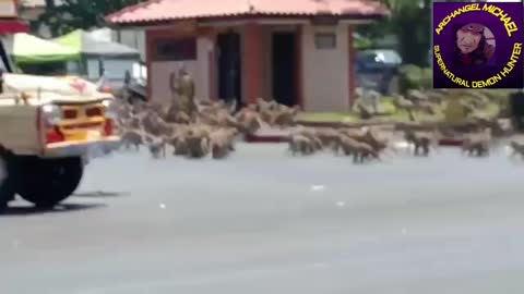 Monkeypox is spreading like wildfire!