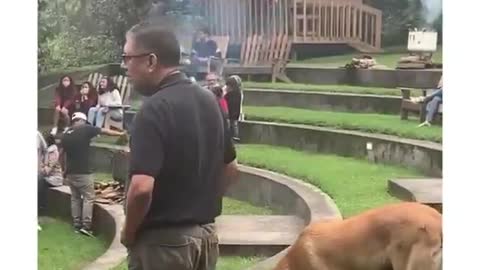 This dog was way too smooth with this one 😂😂 #funny videos