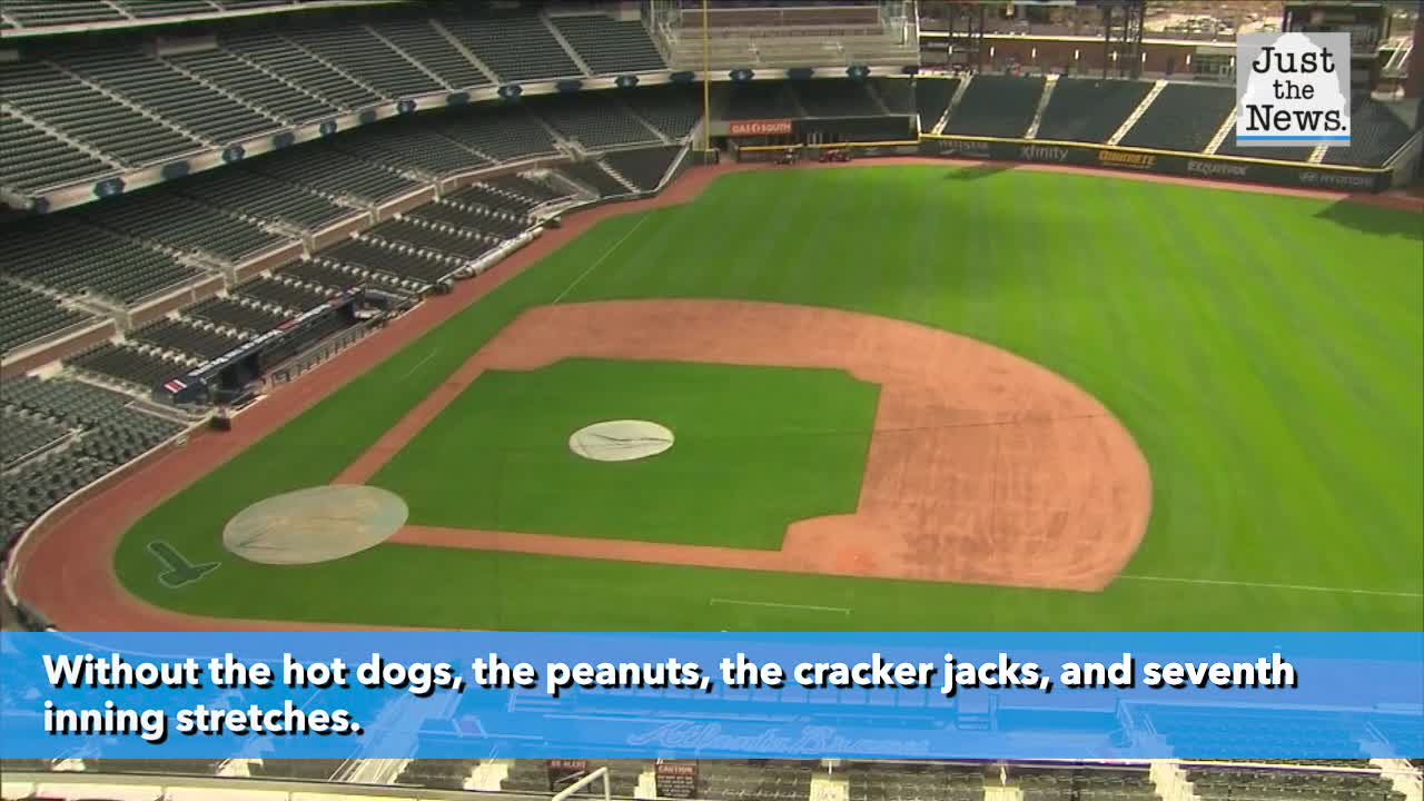 Baseball is back