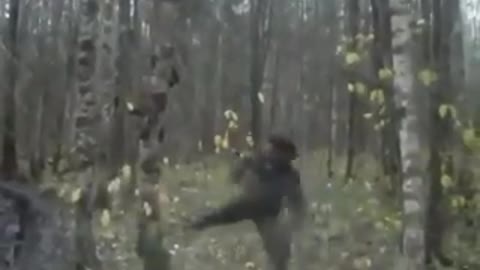 Man kicks tree.... What happened next??? |||| Viral |||