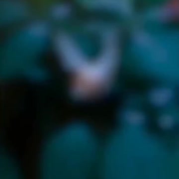 Cute baby whatsapp status