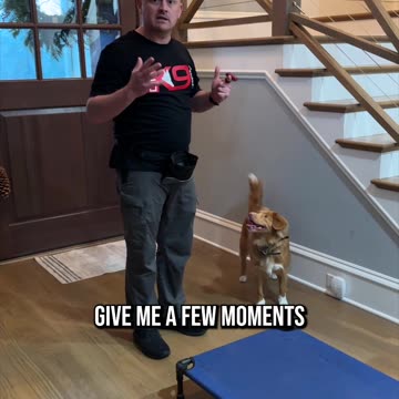 How to Use Telepathy to Train Your Dog