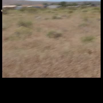 Su oasis de Mojave le espera: 2,56 acres con una carretera mantenida por el condado