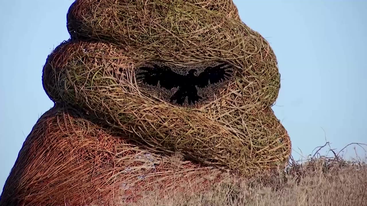 Eye of the beholder: is this sculpture a periwinkle, or a poop emoji?