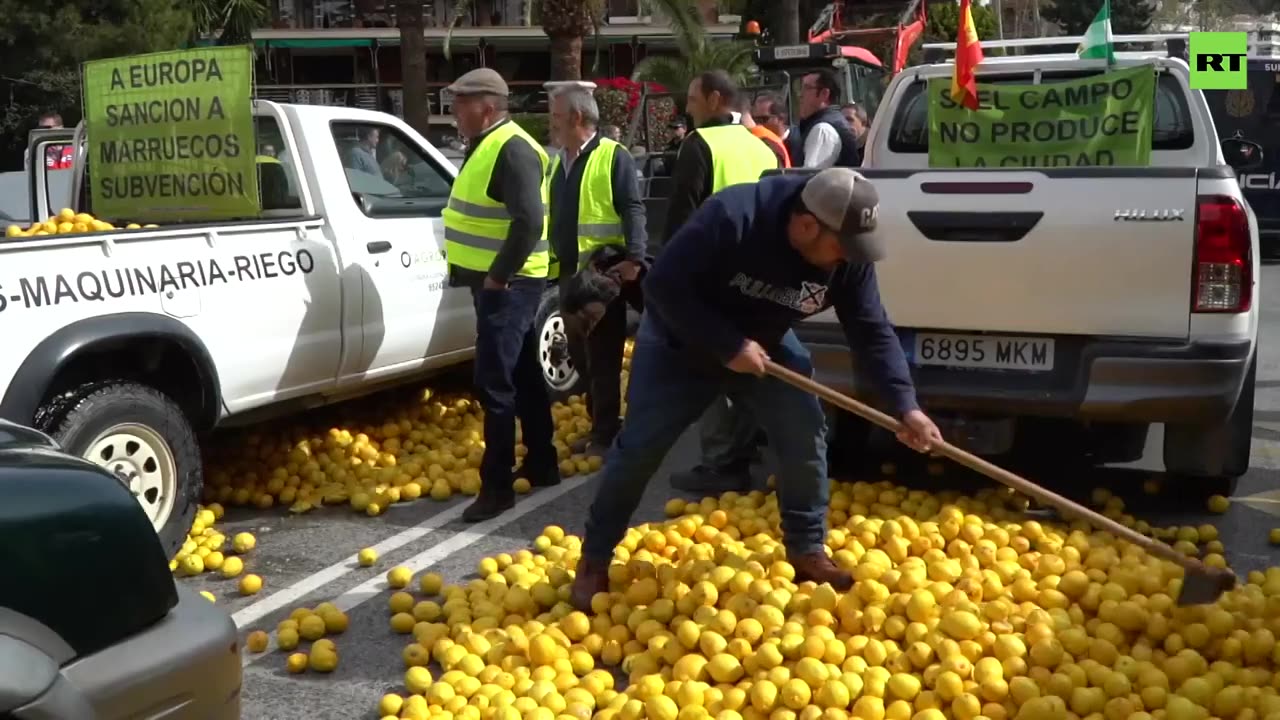 Farmers dump loads of lemons on road demanding support for Spanish agriculture