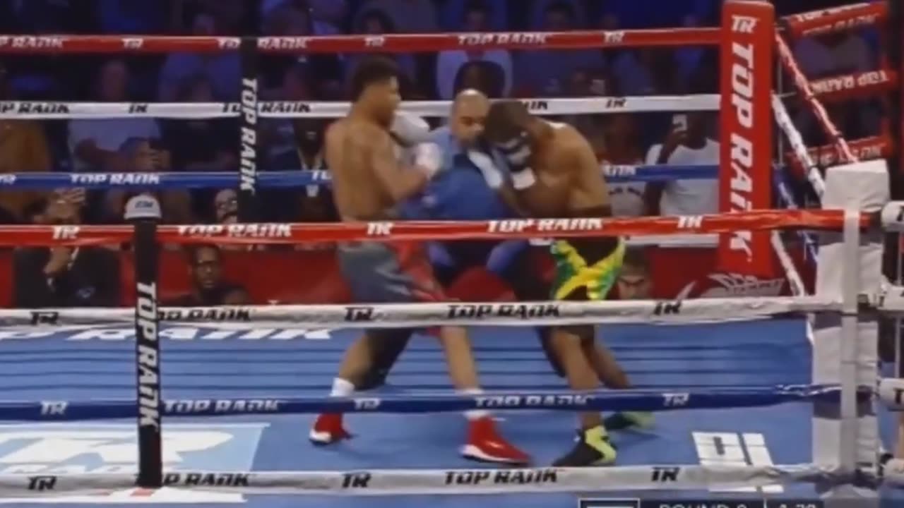 Shakur Stevenson - The Future Tribute