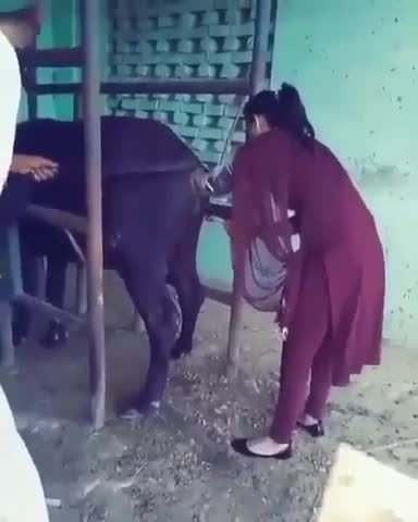 What is she doing with horse?😳