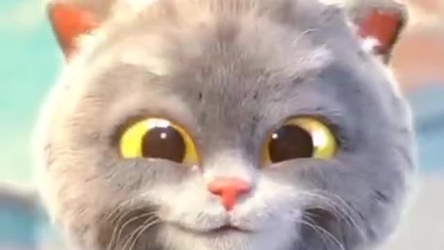 Viral Cute Cat