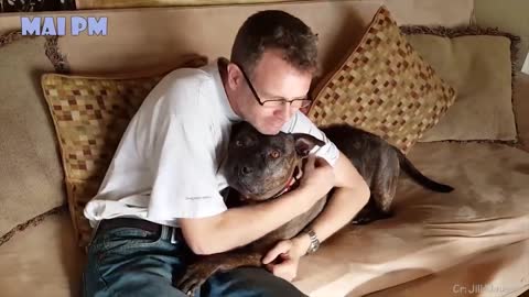 ❤️ Dogs & Animals Say "I LOVE YOU" Human - Love Videos Part 1