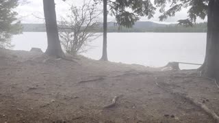 Backcountry Campsite #5, Meditation Point – Timothy Lake – Mount Hood – Oregon – 4K