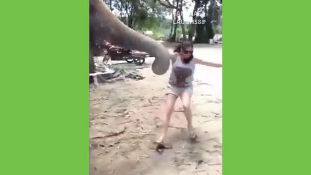 This Elephant Must Be Camera Shy!